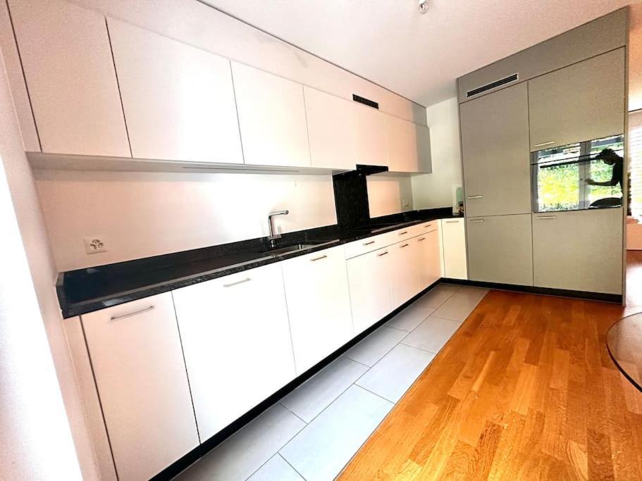 Moderne Wohnung Am Flughafen Opfikon-Glattbrugg Kültér fotó